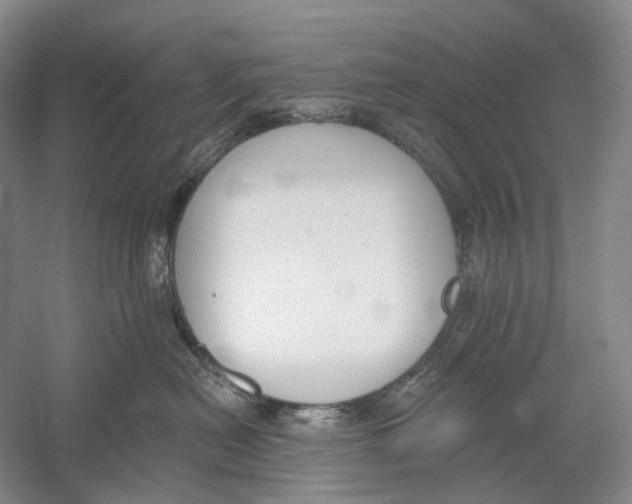 X0000054360478200508262319