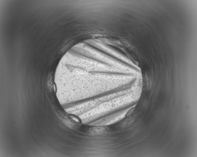 X0000054360479200508262319