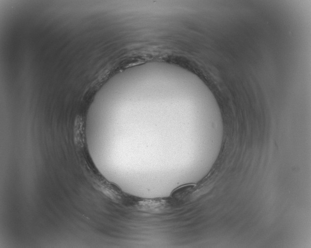 X0000054360480200508262319