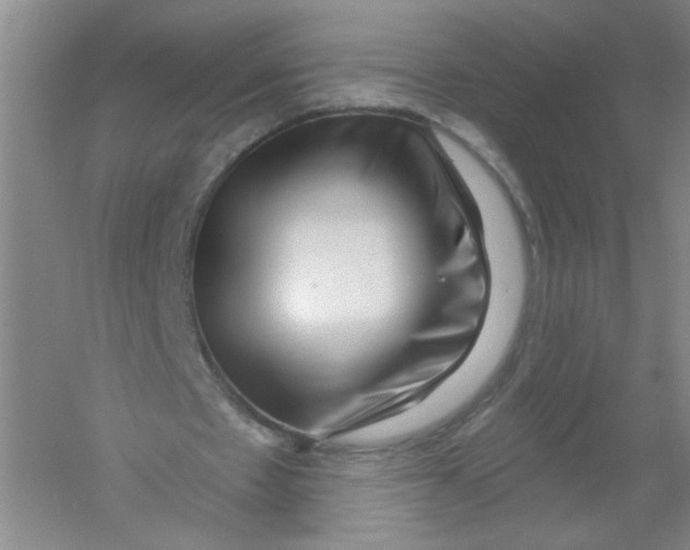 X0000054360481200508262319