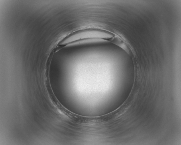 X0000054360485200508262319