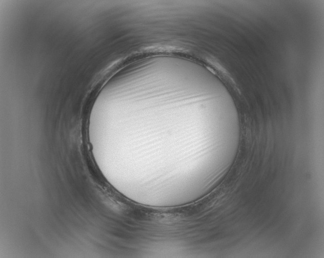 X0000054360486200508262319