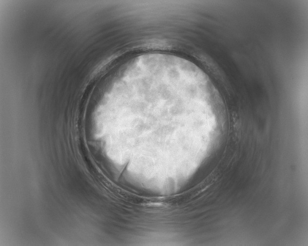 X0000054360487200508262319