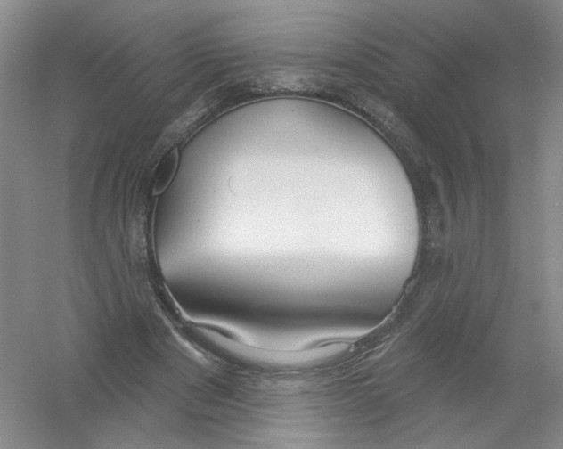 X0000054360489200508262319