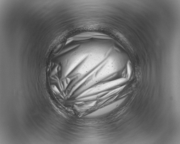 X0000054360493200508262318