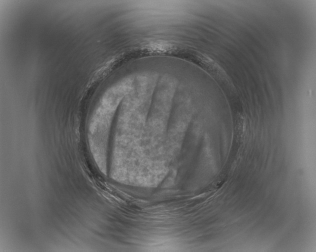 X0000054360496200508262318