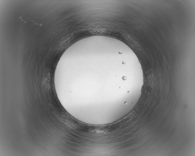 X0000054360498200508262318