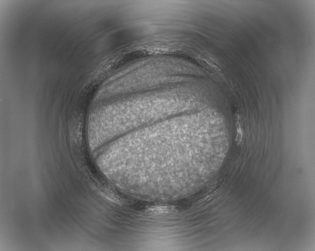 X0000054360499200508262318