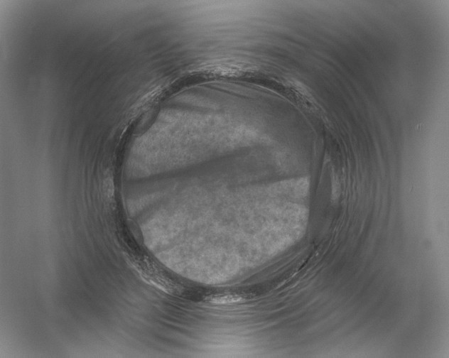 X0000054360500200508262318