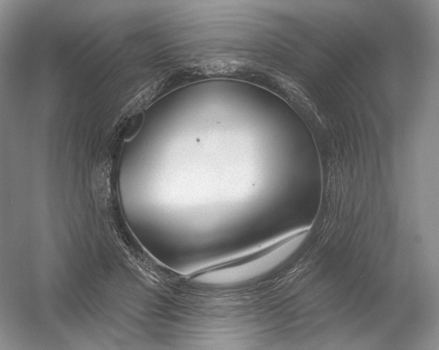 X0000054360501200508262318