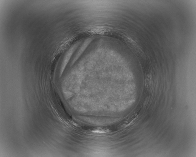 X0000054360504200508262318
