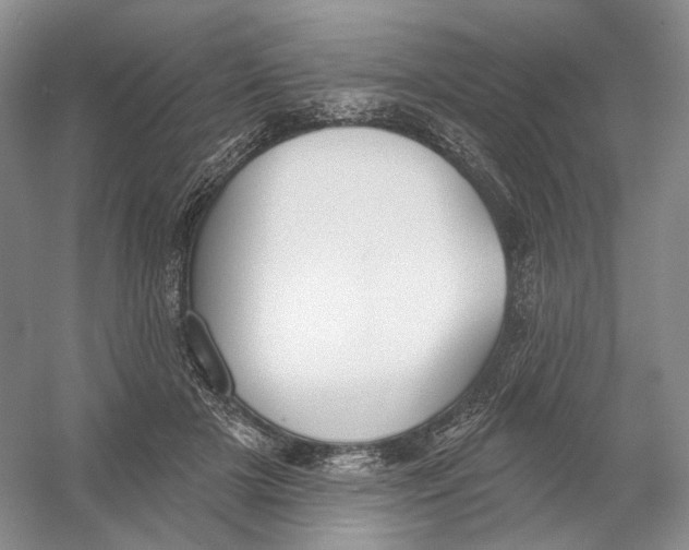 X0000054360505200508262318