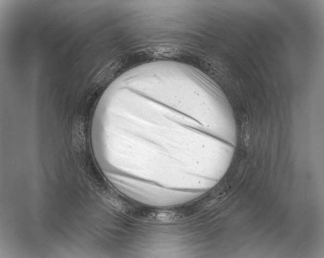 X0000054360506200508262318