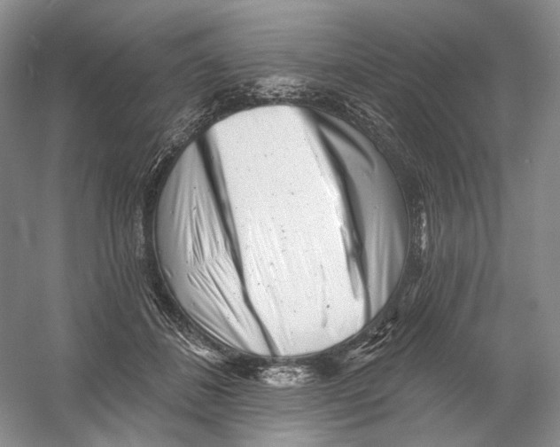 X0000054360508200508262318