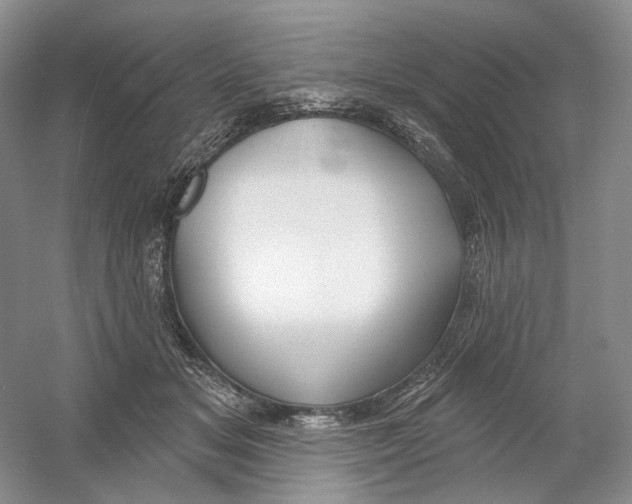 X0000054360509200508262318