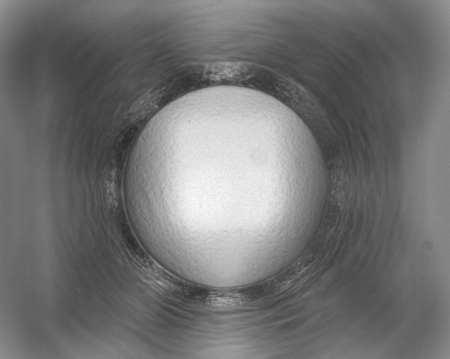 X0000054360510200508262318