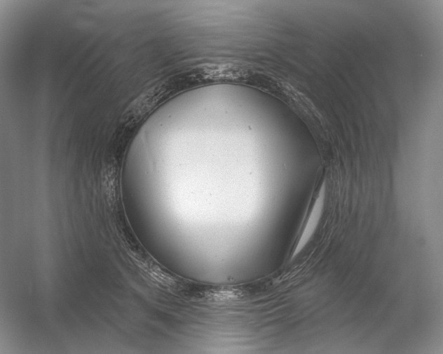 X0000054360513200508262318
