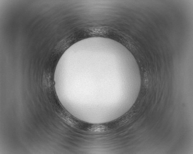 X0000054360514200508262318