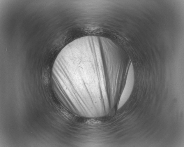 X0000054360515200508262318