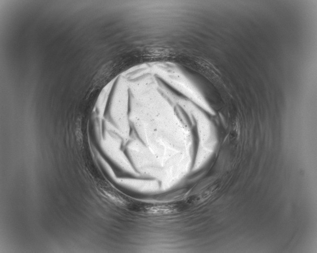 X0000054360516200508262318