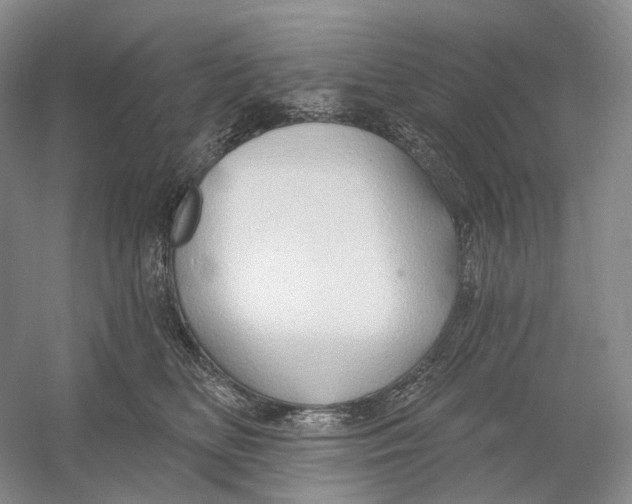 X0000054360518200508262318