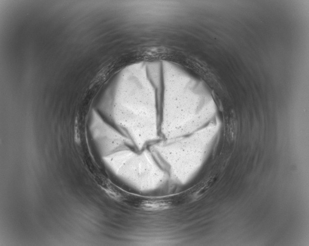 X0000054360520200508262318