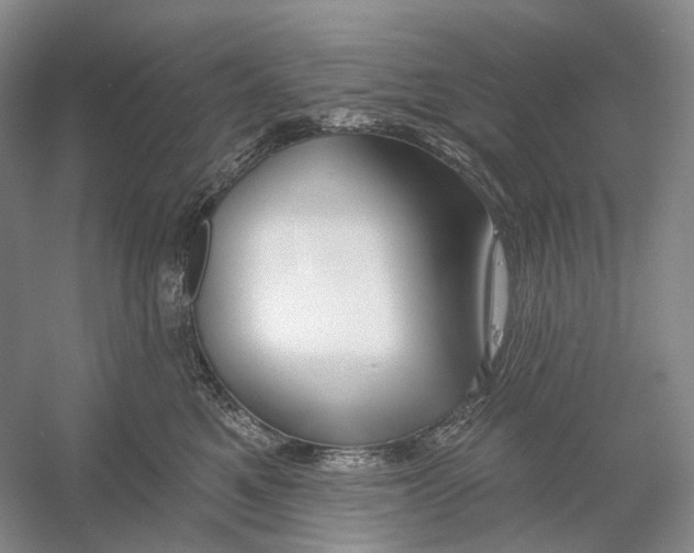 X0000054360521200508262318