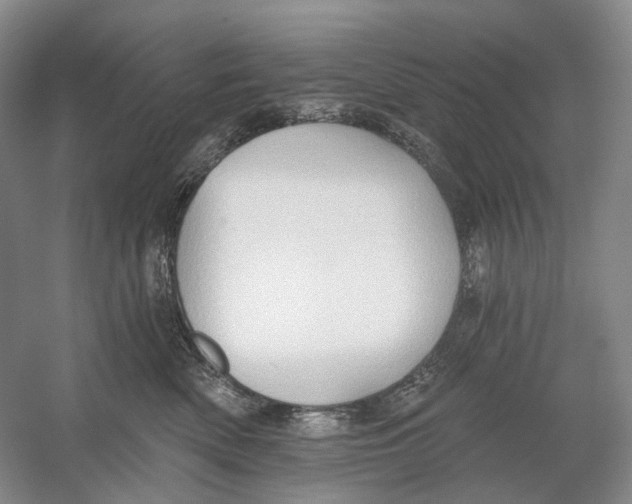 X0000054360522200508262318
