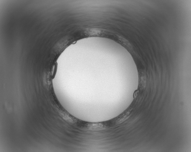 X0000054360525200508262318