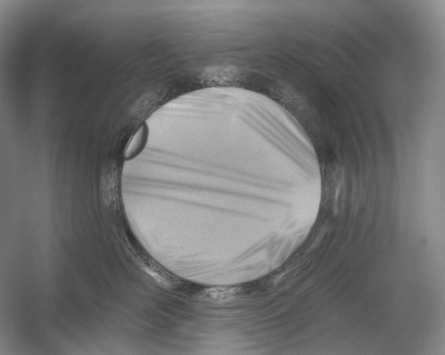 X0000054360526200508262318