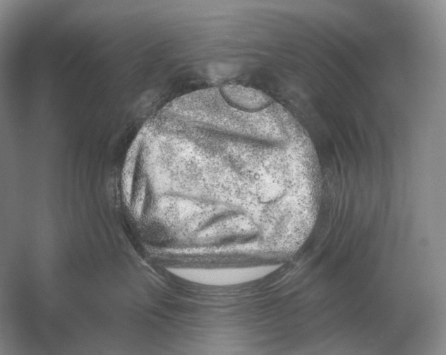 X0000054360527200508262318