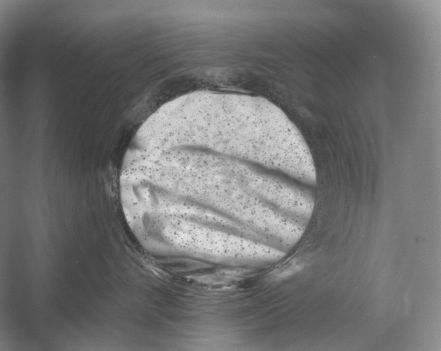 X0000054360528200508262318