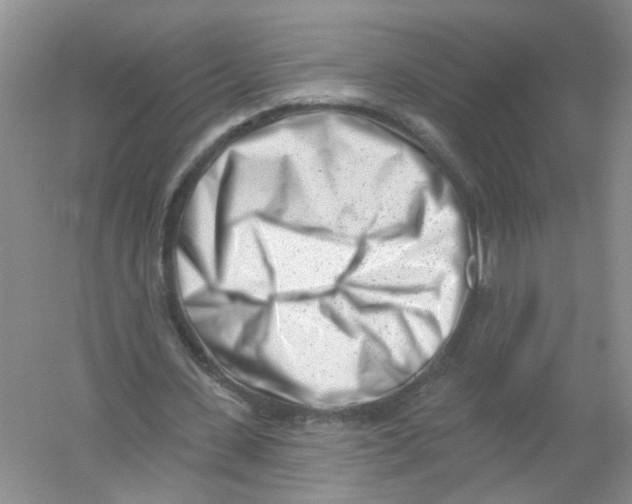 X0000054360531200508262317