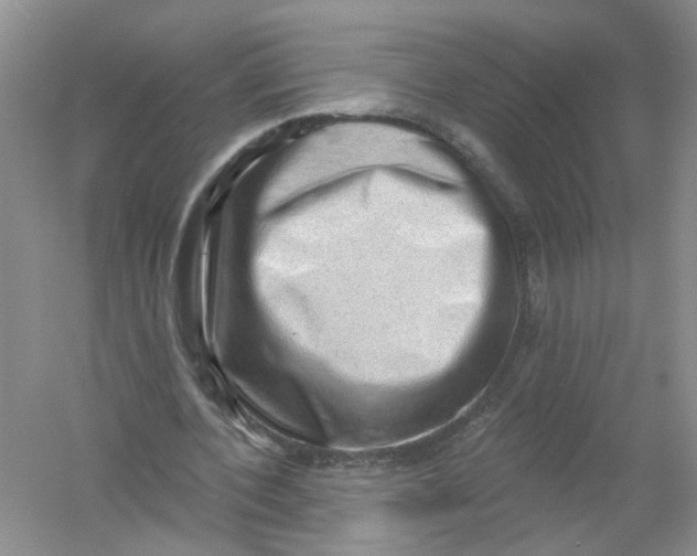X0000054360532200508262317