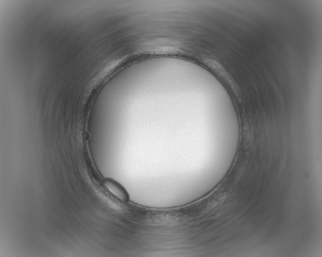 X0000054360533200508262317