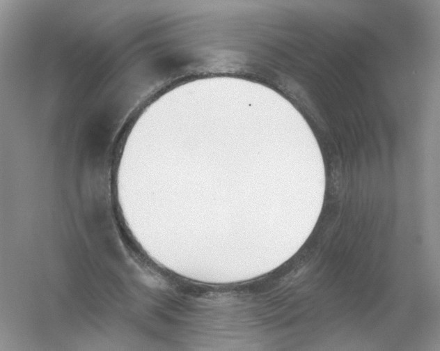 X0000054360534200508262317