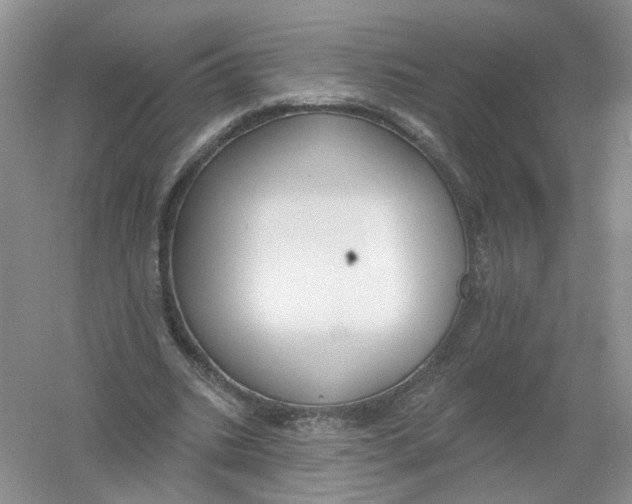 X0000054360535200508262317