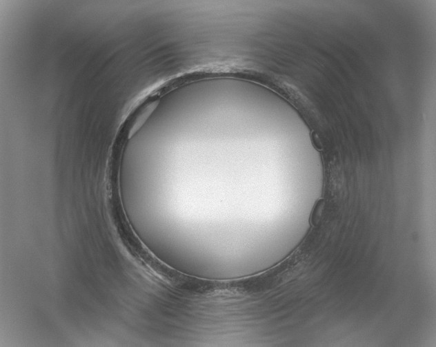 X0000054360536200508262317