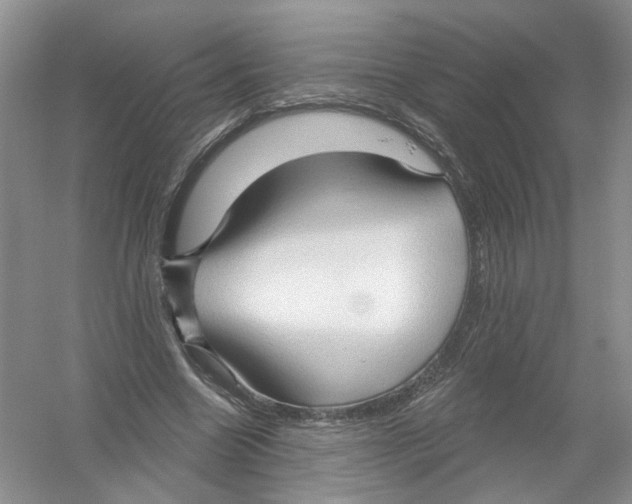 X0000054360538200508262317