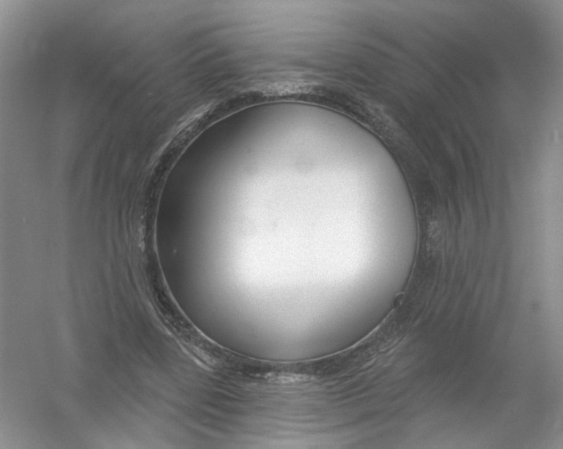 X0000054360539200508262317