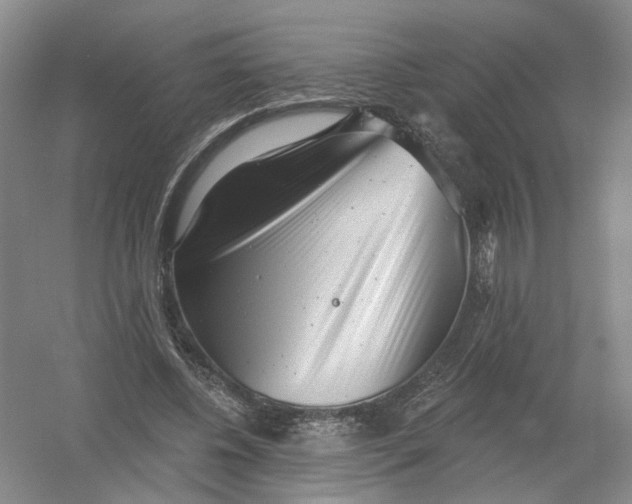 X0000054360540200508262317