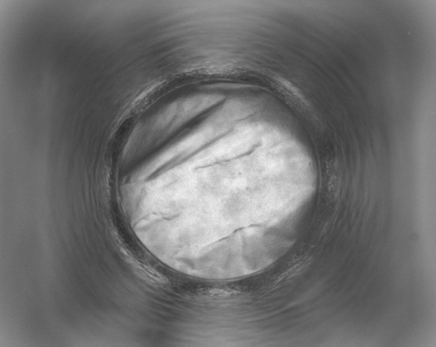 X0000054360542200508262317