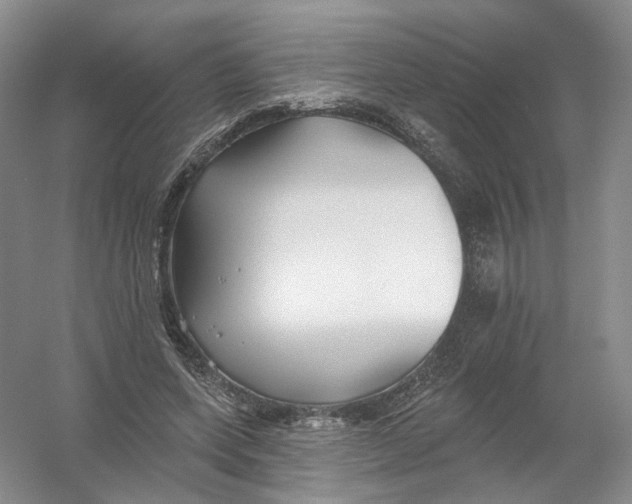 X0000054360543200508262317