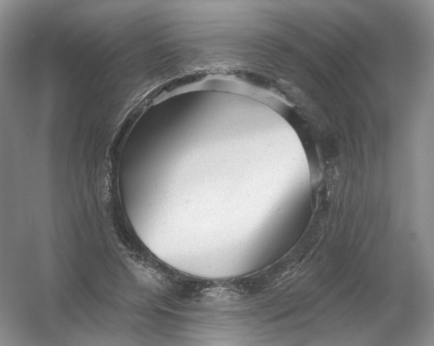 X0000054360544200508262317