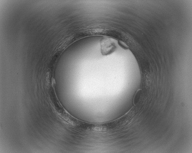 X0000054360546200508262317