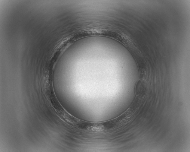 X0000054360548200508262317