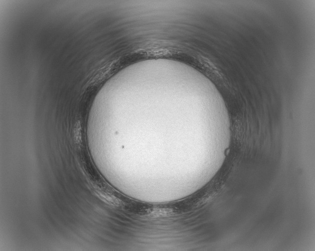 X0000054360549200508262317