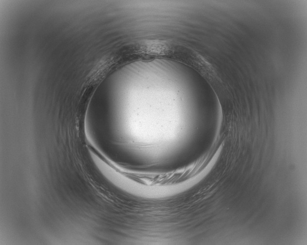 X0000054360552200508262317