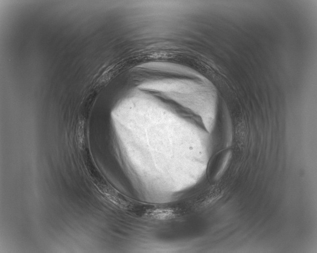 X0000054360554200508262317