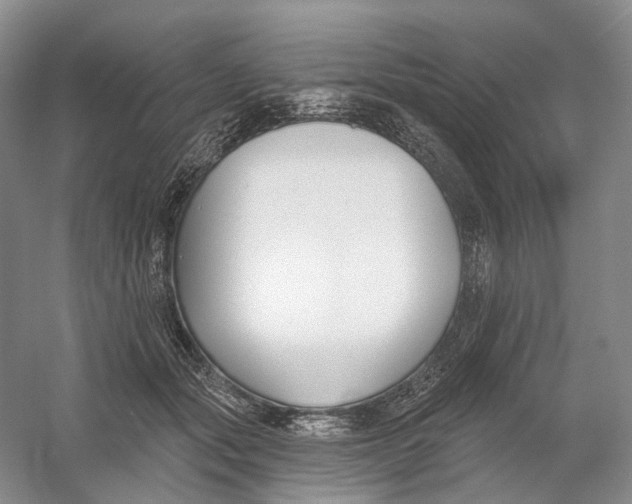 X0000054360557200508262318